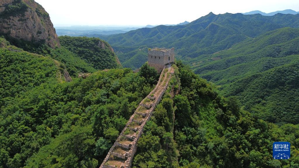 永利国际集团有限公司